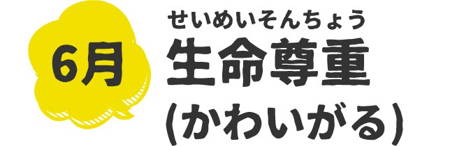 保育について 社会福祉法人歩育の会